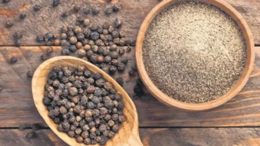 Karabiber bağışıklığı güçlendiriyor – Sağlık Haberleri