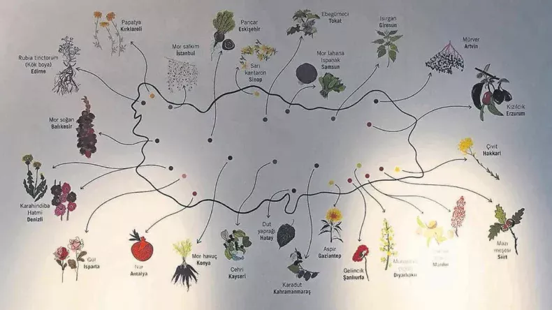 Ne ararsan Anadolu’da var – Cumartesi Sabah Haberleri