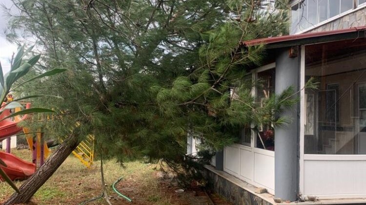 Edirne Keşan’da fırtına hasarı! Ağaç evin üzerine devrildi!